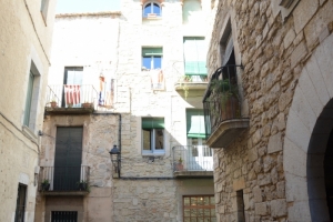 image009